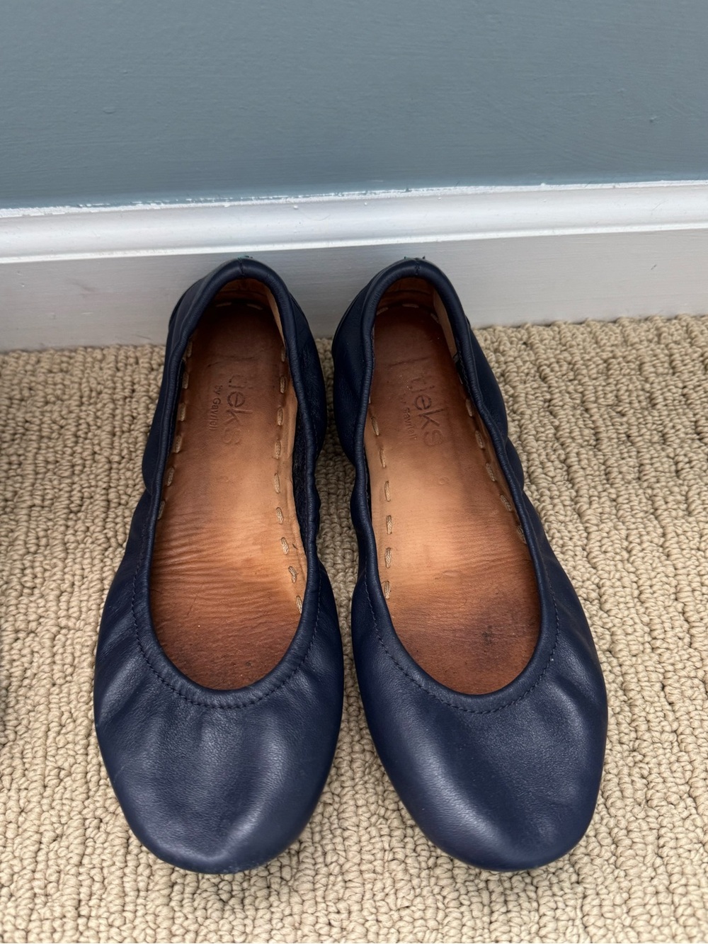 Tieks Navy Leather Foldable Ballet Flats